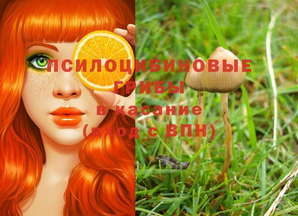 MESCALINE Арсеньев